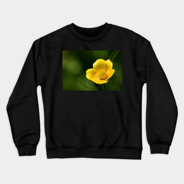 Buttercup Crewneck Sweatshirt by EugeJ